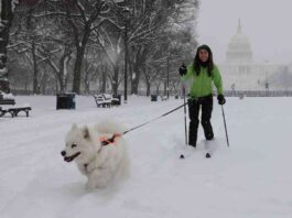 winter-storm-alert-cold-weather-warning-from-new-mexico-to-florida