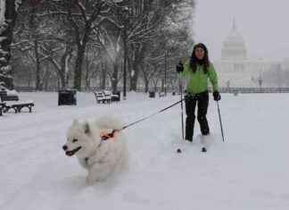 Winter Storm Alert: Cold Weather Warning from New Mexico to Florida winter-storm-alert-cold-weather-warning-from-new-mexico-to-florida