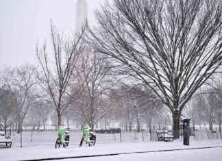 Winter Storm Causes School Closures and Flight Cancellations in Mid-Atlantic: Updates winter-storm-causes-school-closures-and-flight-cancellations-in-mid-atlantic-updates