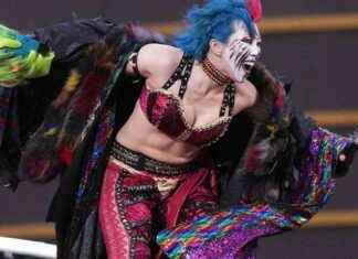 WWE Star Concerned About Safety After Inappropriate Fan Behavior wwe-star-concerned-about-safety-after-nappropriate-fan-behavior