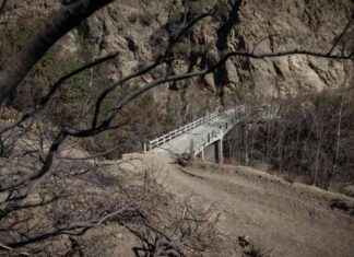 24 Angeles National Forest Trails and Campgrounds Closed After Eaton Fire 24-angeles-national-forest-trails-and-campgrounds-closed-after-eaton-fire