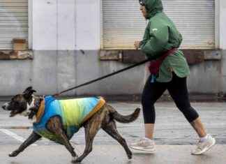 Atmospheric River Storm Approaching California: Prepare for Impact atmospheric-river-storm-approaching-california-prepare-for-mpact