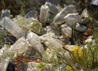 California bans polystyrene: Plastic industry silences governor? california-bans-polystyrene-plastic-industry-silences-governor