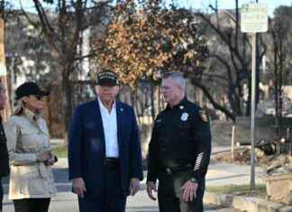 Critics Say Trump Policy Hinders Fire Prevention Efforts critics-say-trump-policy-hinders-fire-prevention-efforts