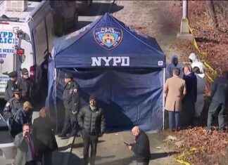 Identifying Missing Realtor Found Hog-tied Off Queens Highway dentifying-missing-realtor-found-hog-tied-off-queens-highway