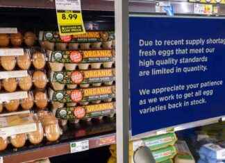 Egg Shortage Results in Cage-Free Eggs Costing Less egg-shortage-results-in-cage-free-eggs-costing-less