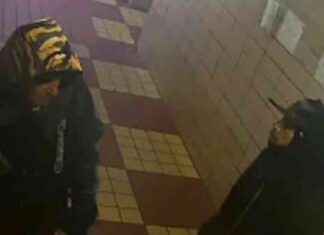 Elderly man assaulted in violent Bronx apartment robbery elderly-man-assaulted-in-violent-bronx-apartment-robbery