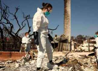 Palisades Fire Victims Face Identity Theft Crisis palisades-fire-victims-face-dentity-theft-crisis