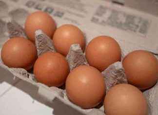 Pennsylvania Police Investigate Theft of 100,000 Eggs pennsylvania-police-nvestigate-theft-of-100000-eggs