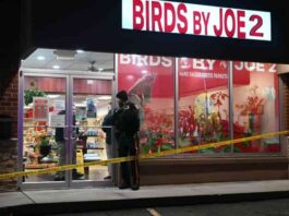 pet-store-owner-shot-in-face-with-crossbow-strange-parrot-theft