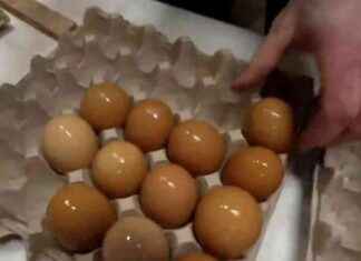 Rising Egg Prices Due to Nationwide Bird Flu Outbreak rising-egg-prices-due-to-nationwide-bird-flu-outbreak