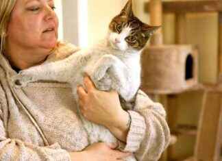 Survival Stories from the Front Lines: Chickens, Cats, Dogs, Goldfish survival-stories-from-the-front-lines-chickens-cats-dogs-goldfish