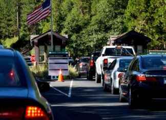 Trump and Musk Threaten Summer Vacation: What You Need to Know trump-and-musk-threaten-summer-vacation-what-you-need-to-know