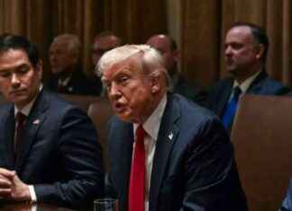 Trump Stands Up for Musk in Cabinet Meeting trump-stands-up-for-musk-in-cabinet-meeting