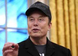 Trump’s DOGE remains steady after federal judge rulings trumps-doge-remains-steady-after-federal-judge-rulings