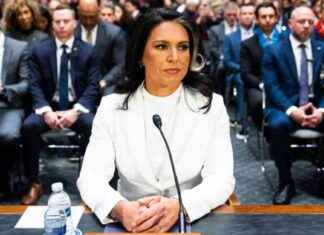 Tulsi Gabbard endorsed for intelligence chief by Senate committee tulsi-gabbard-endorsed-for-intelligence-chief-by-senate-committee