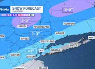 Upcoming NYC Storms: Snow and Slush Expected Thursday upcoming-nyc-storms-snow-and-slush-expected-thursday