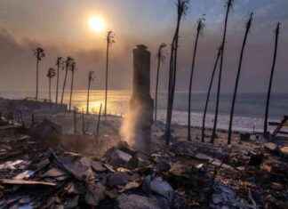 Wildfire Victims Deserve Full Insurance Payouts for Lost Contents wildfire-victims-deserve-full-nsurance-payouts-for-lost-contents