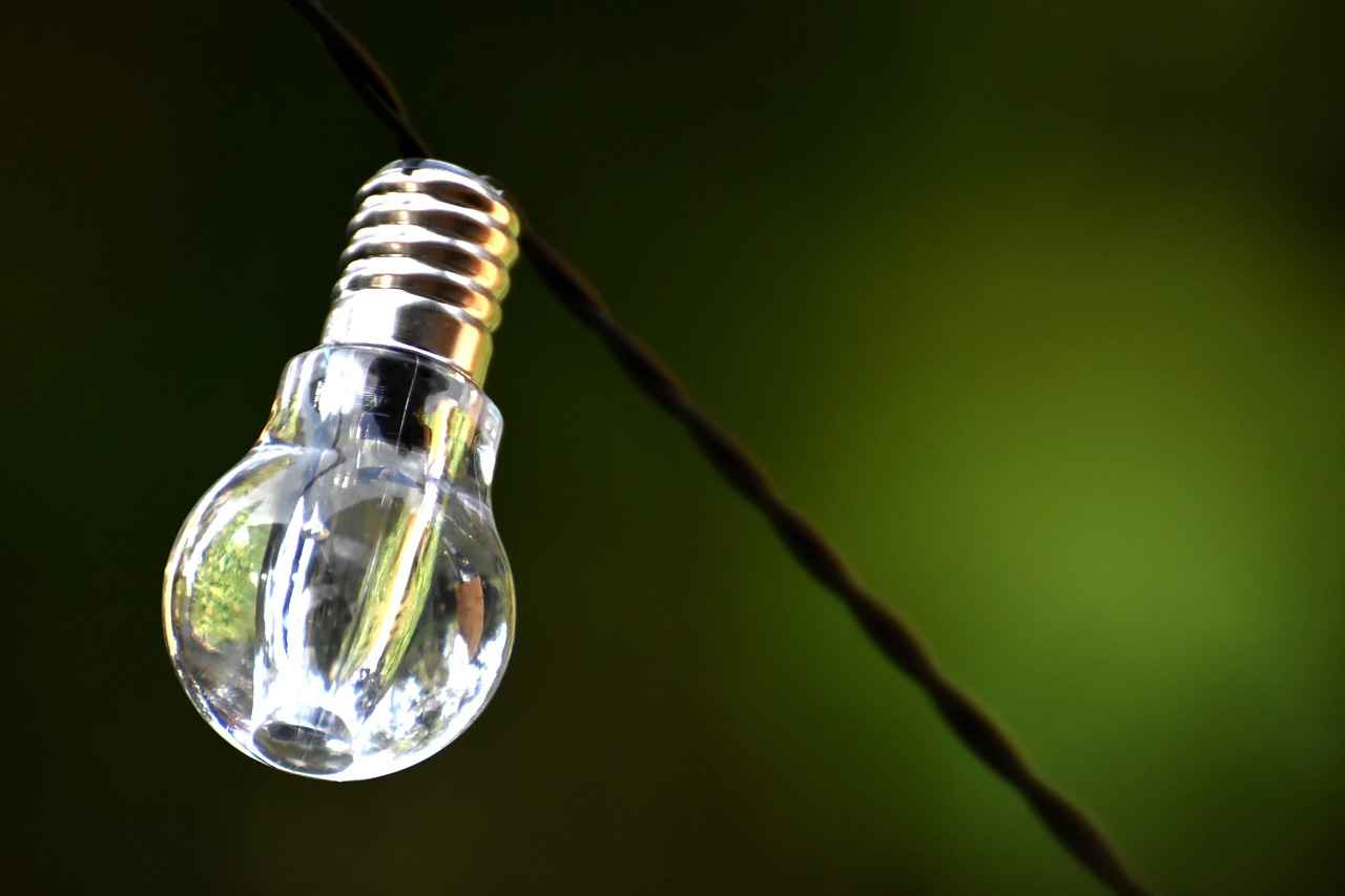 Sustainability in Accounting and Advisory Services
