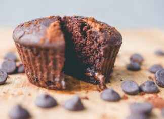 Bimbo Bakeries USA News: Product Launches and Industry Trends Bimbo Bakeries USA News: Product Launches and Industry Trends