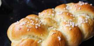 Bimbo USA News: Bakery Market Growth and Expansion Plans Bimbo USA News: Bakery Market Growth and Expansion Plans