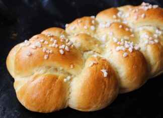 Bimbo USA News: Bakery Market Growth and Expansion Plans Bimbo USA News: Bakery Market Growth and Expansion Plans