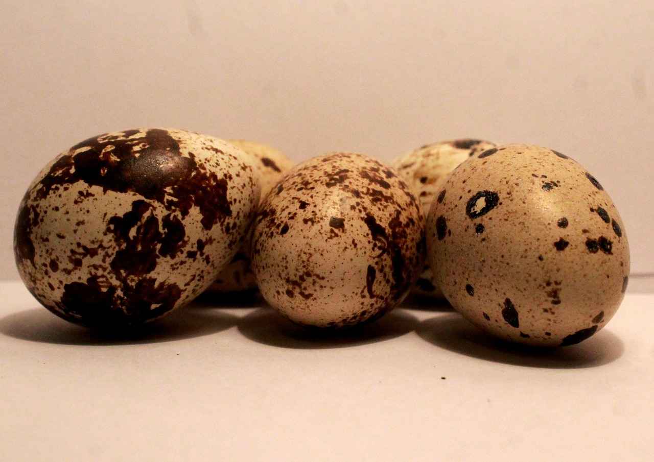 Bimbo USA News: Bakery Market Growth and Expansion Plans 1 Current Trends in the Bakery Market