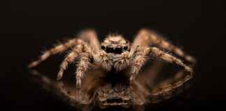 Breaking News Harry and Meghan Today USA: Royal Family Updates Breaking News Harry and Meghan Today USA: Royal Family Updates