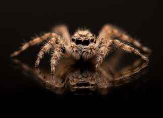 Breaking News Harry and Meghan Today USA: Royal Family Updates Breaking News Harry and Meghan Today USA: Royal Family Updates