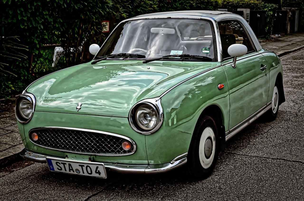 Legal Rights of Immigrants Facing Deportation