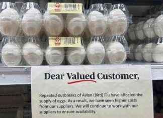 DOJ Investigates Egg Producers Due to Price Increase doj-nvestigates-egg-producers-due-to-price-ncrease