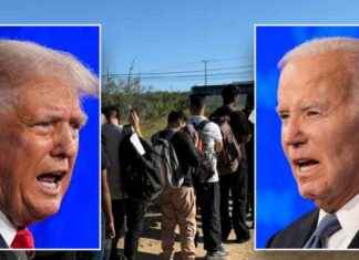 Expert: Trump’s Border Success Proves Immigration Bill was Necessary expert-trumps-border-success-proves-mmigration-bill-was-necessary