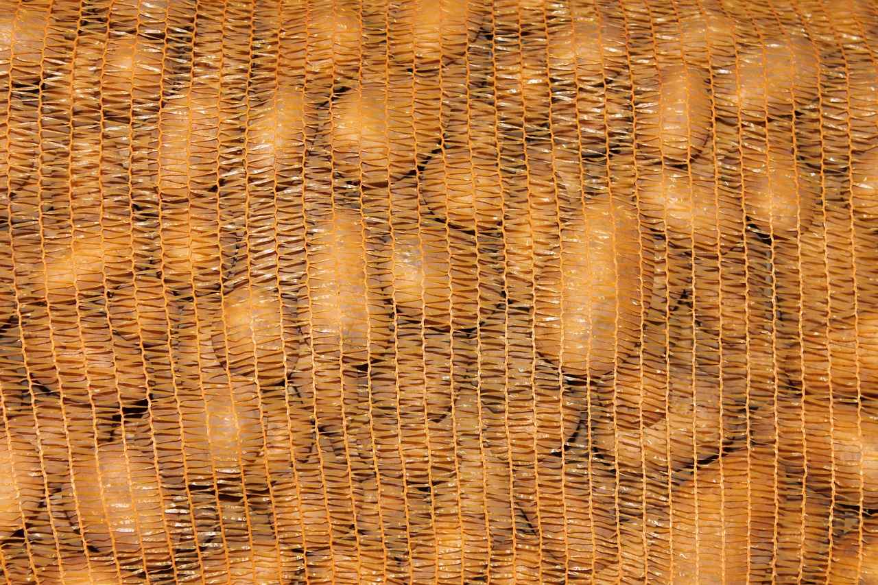 The Importance of Potatoes in Georgia's Agriculture