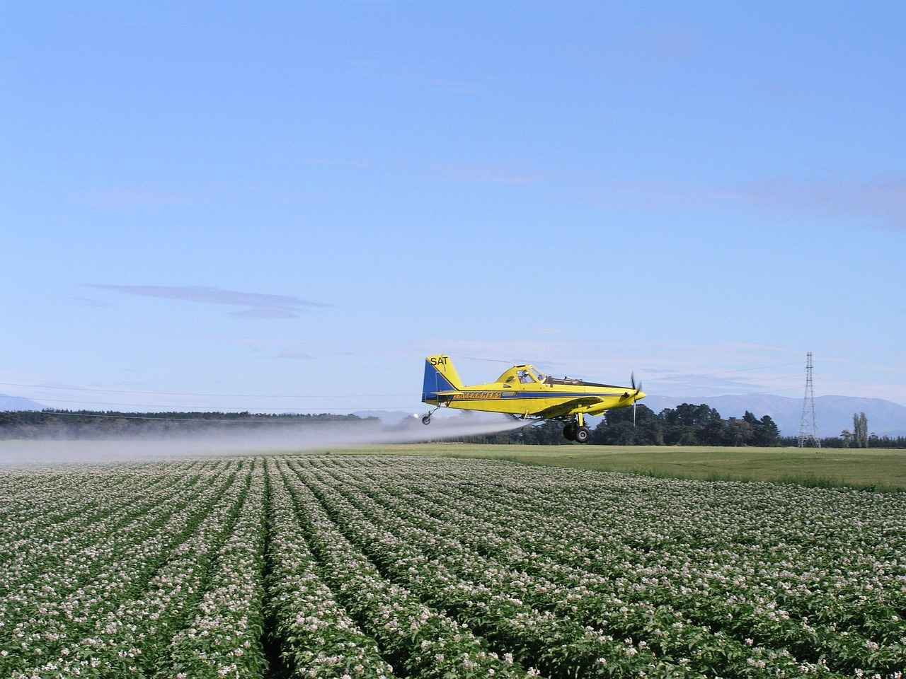 Economic Impact of Potato Farming