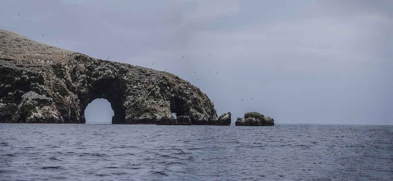 Essential Travel Tips for Isla Holbox