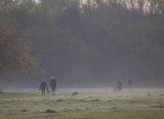 How Does Walking People’s Dogs Relate to Agriculture How Does Walking People’s Dogs Relate to Agriculture