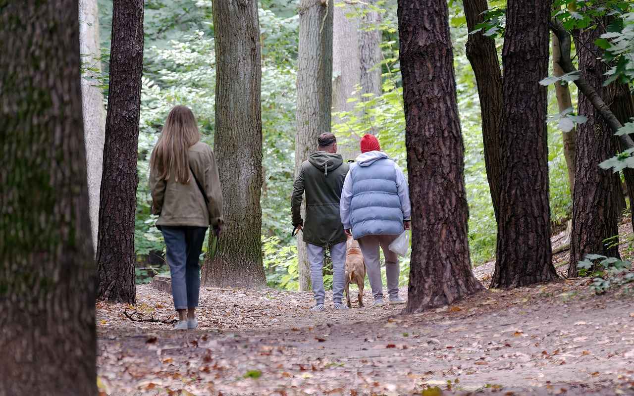 Challenges Faced by Dog Walkers in Agricultural Areas