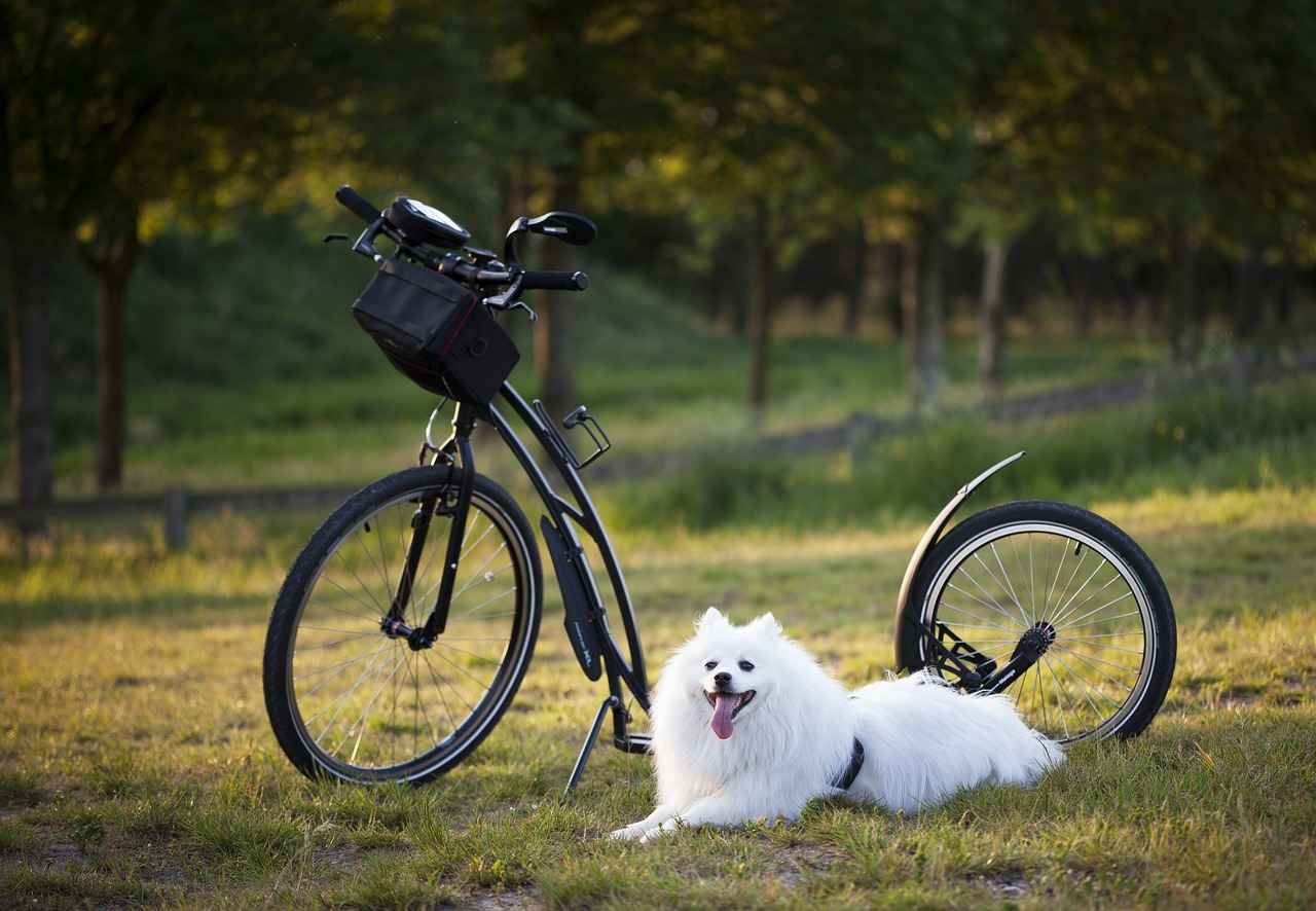 Future Trends: The Intersection of Dog Walking and Agriculture