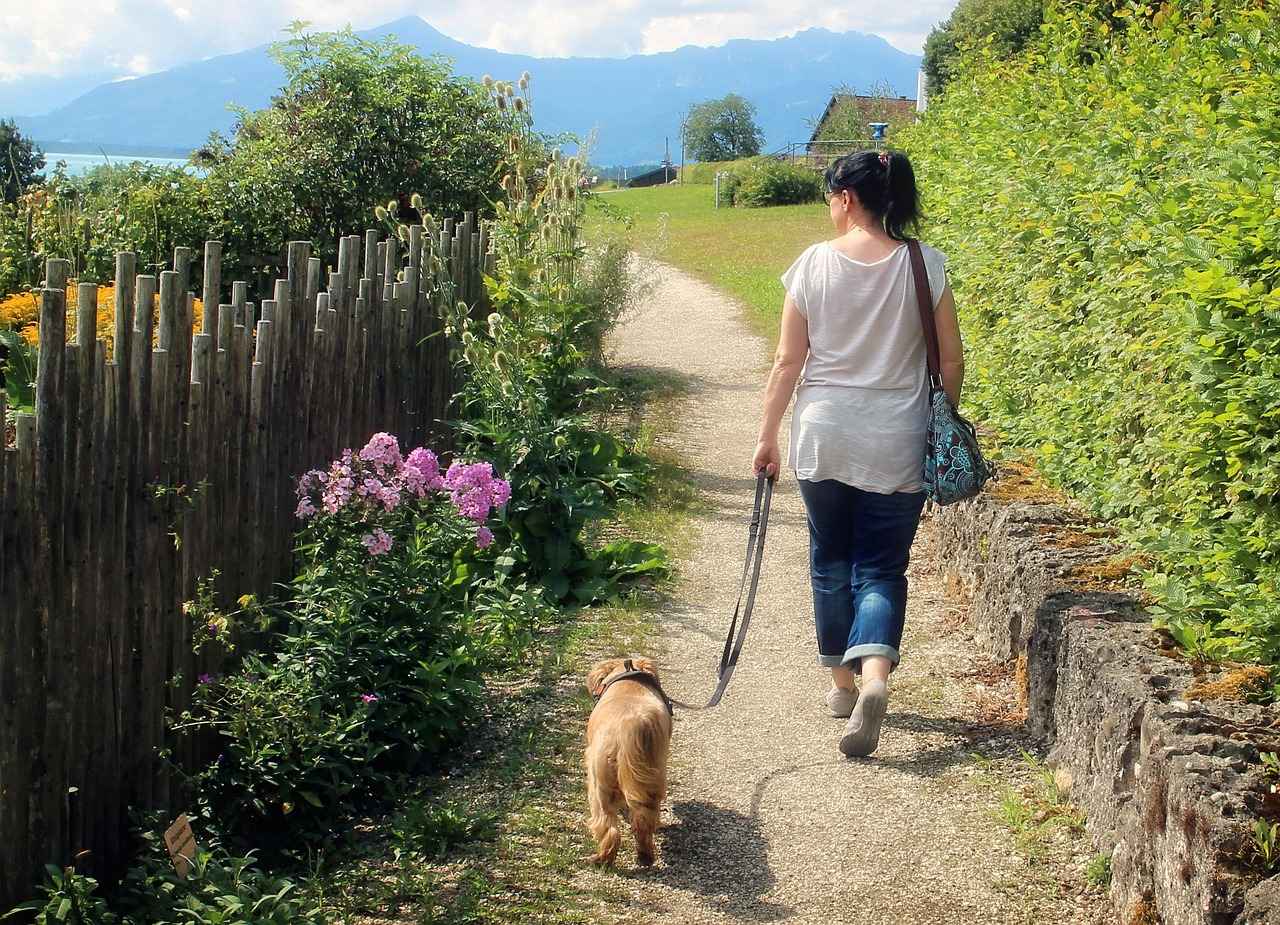 Environmental Benefits of Dog Walking