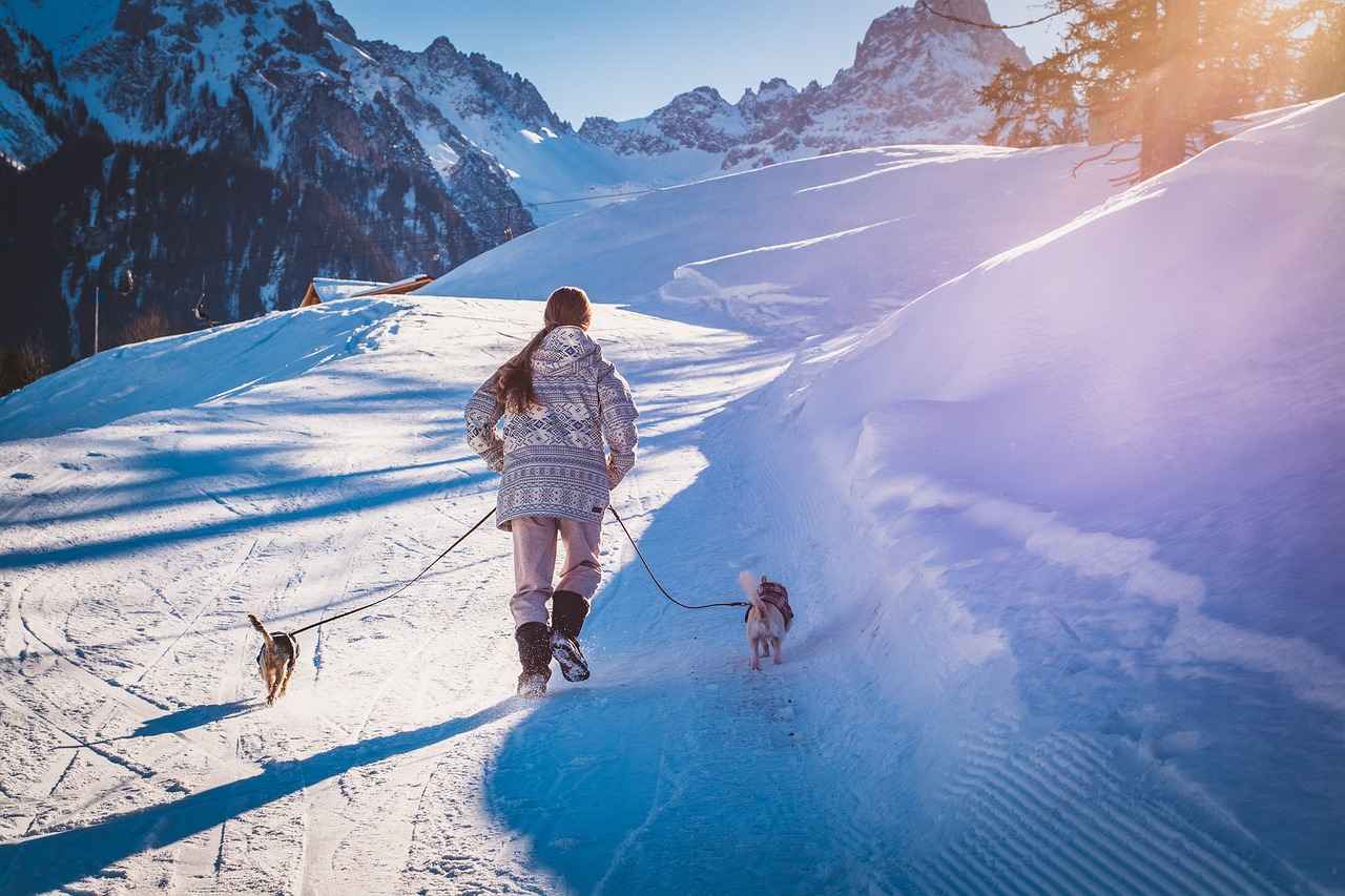 Dog Walking Events and Agricultural Festivals