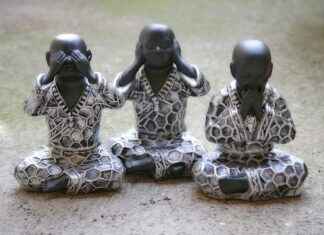 How Long Do Wisdom Teeth Stitches Take to Dissolve How Long Do Wisdom Teeth Stitches Take to Dissolve