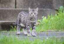 How Long Does Concrete Sealer Take to Dry How Long Does Concrete Sealer Take to Dry