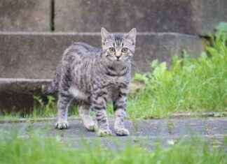 How Long Does Concrete Sealer Take to Dry How Long Does Concrete Sealer Take to Dry