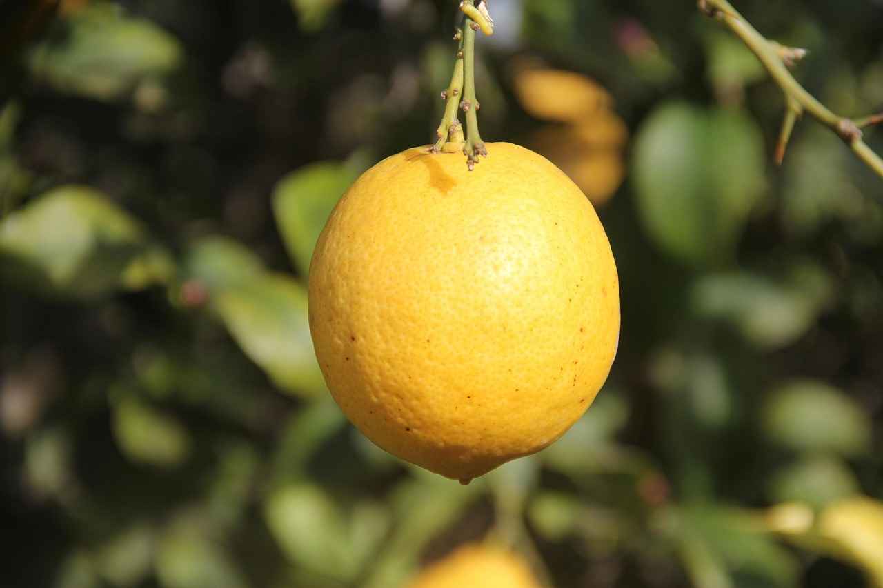 Best Practices for Using Glycolic Acid