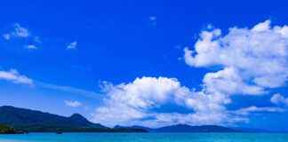 How Long Does It Take for a Bone Graft to Heal How Long Does It Take for a Bone Graft to Heal