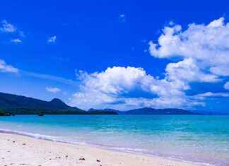 How Long Does It Take for a Bone Graft to Heal How Long Does It Take for a Bone Graft to Heal