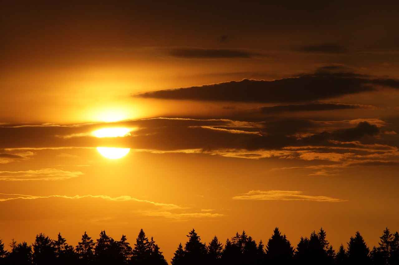 Factors Affecting Bone Graft Healing Time