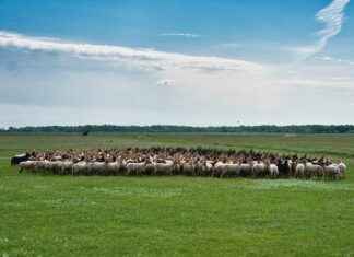 How Long Does It Take Roundup to Kill Weeds? How Long Does It Take Roundup to Kill Weeds?