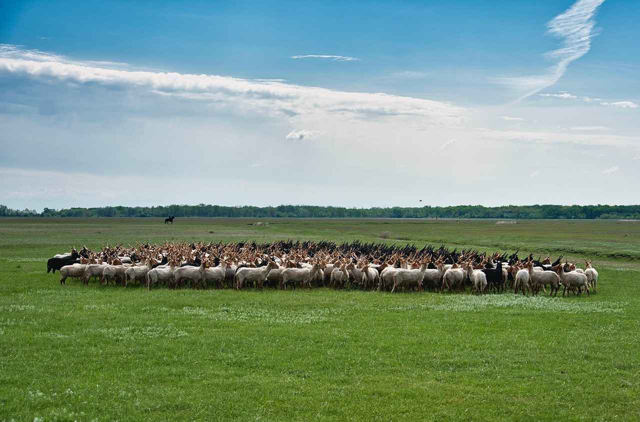 How Long Does It Take Roundup to Kill Weeds? 2 How Does Roundup Work on Weeds?