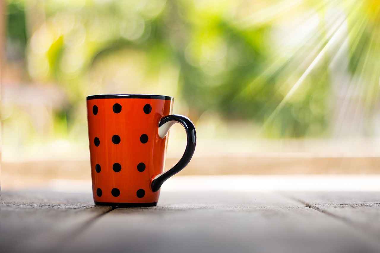 Understanding DOT Numbers